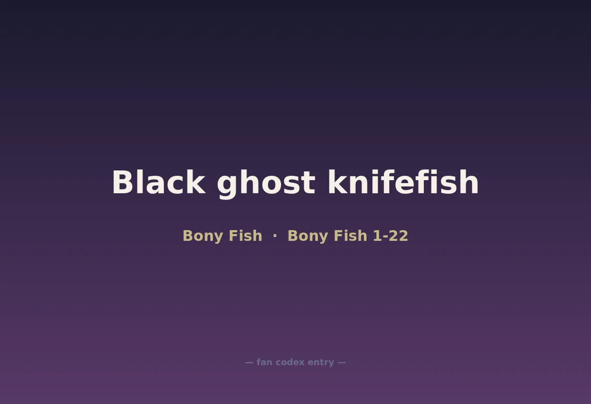 Black ghost knifefish