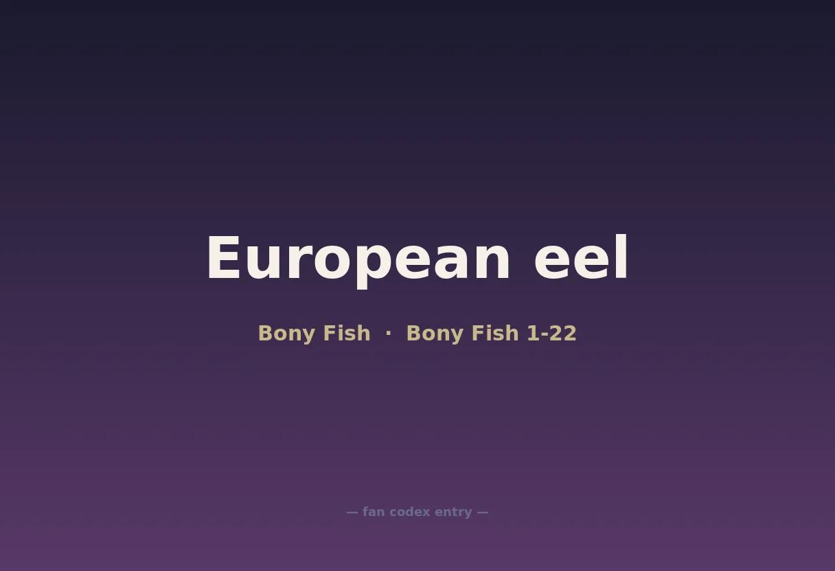 European eel