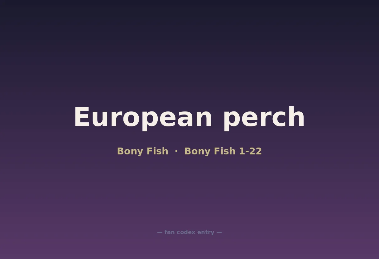 European perch